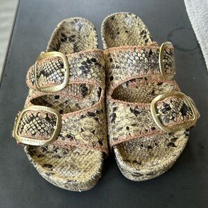 Loeffler Randall Theo Slides 7